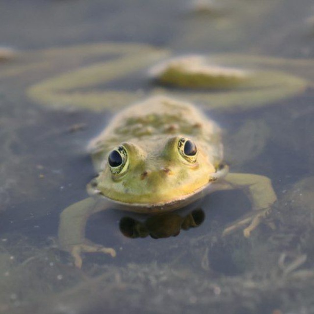 Channel Photo