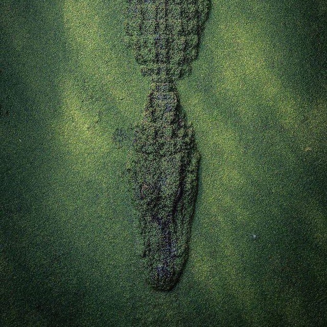 Channel Photo