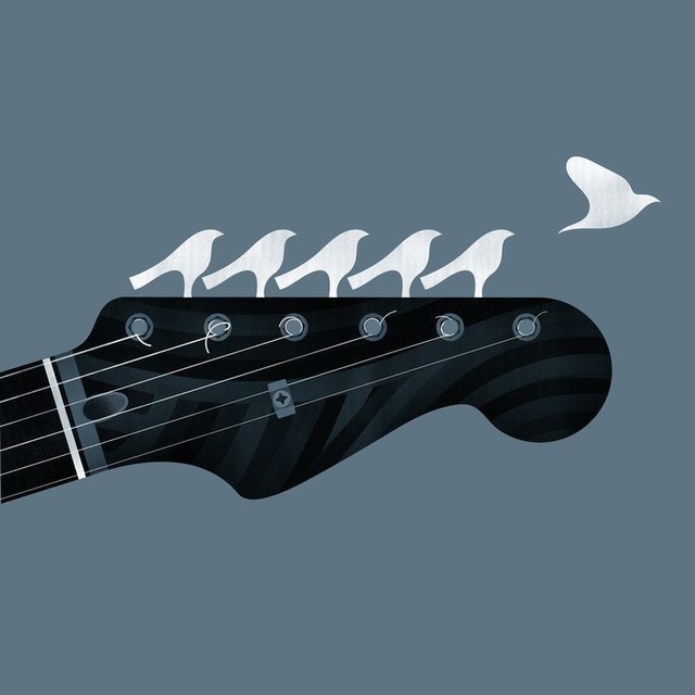 Channel Photo