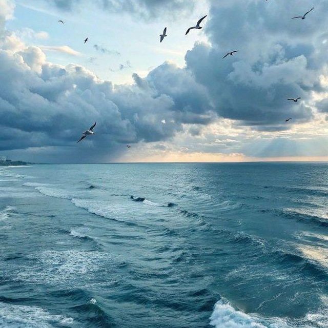 Channel Photo