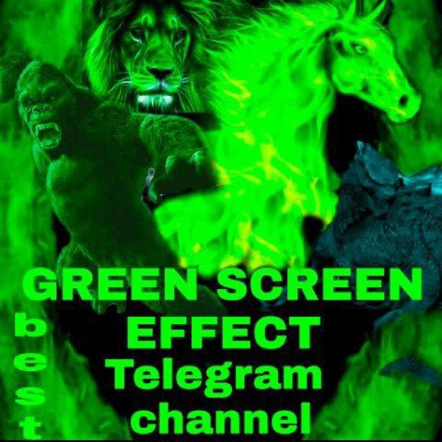 Channel Photo