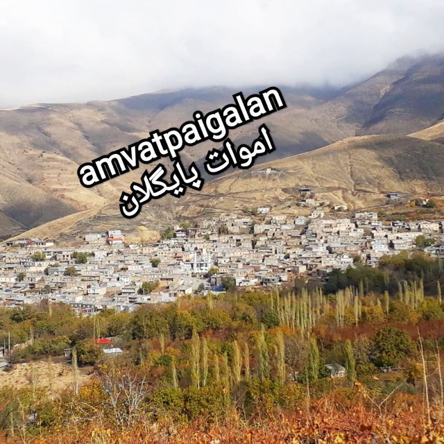 Channel Photo