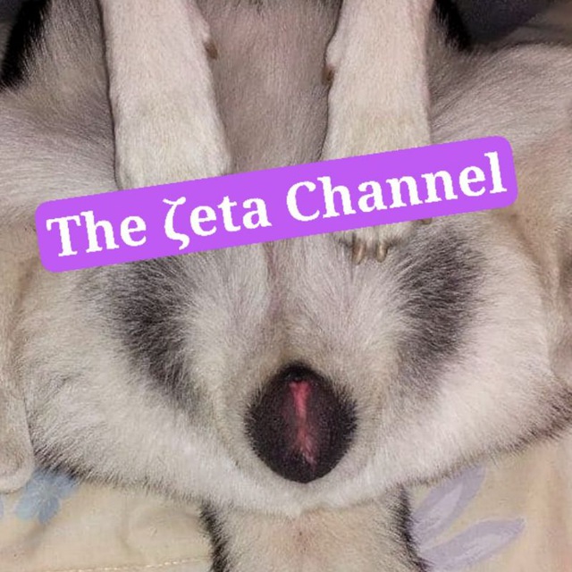 Channel Photo