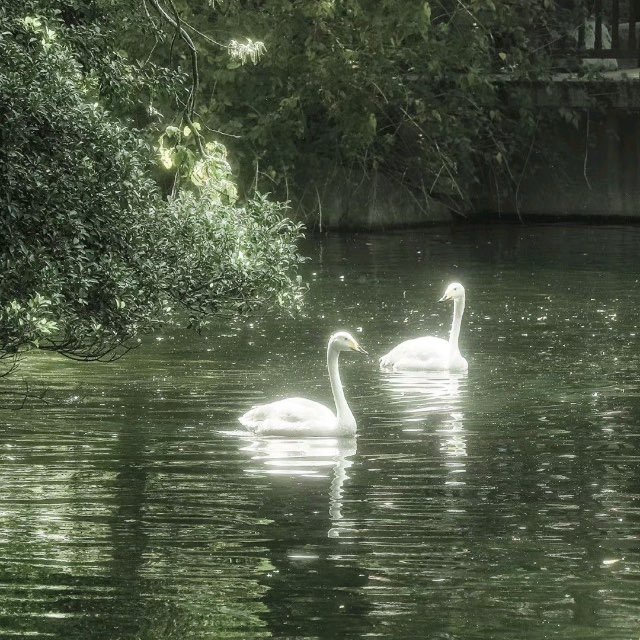 Channel Photo