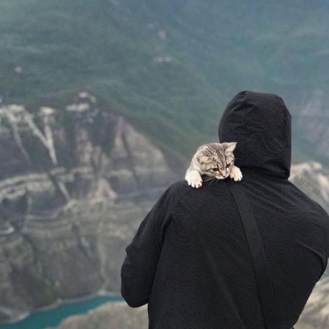 Channel Photo