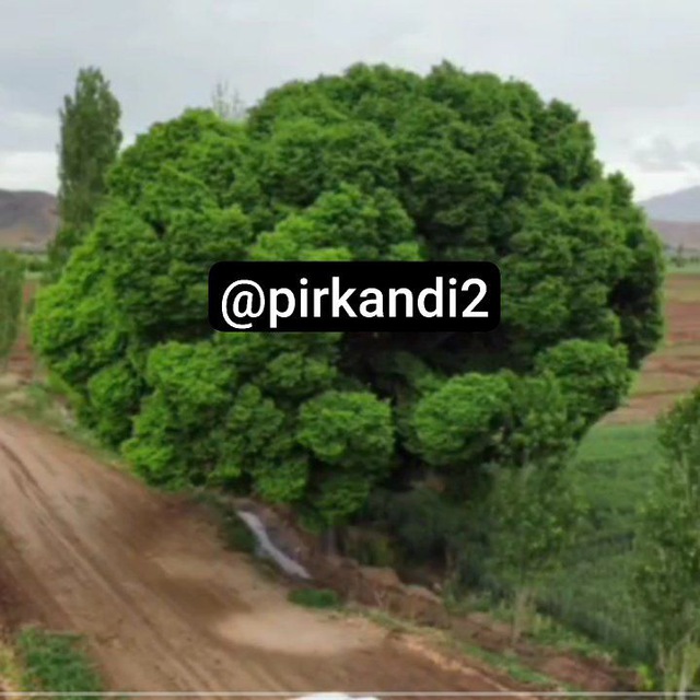 Channel Photo