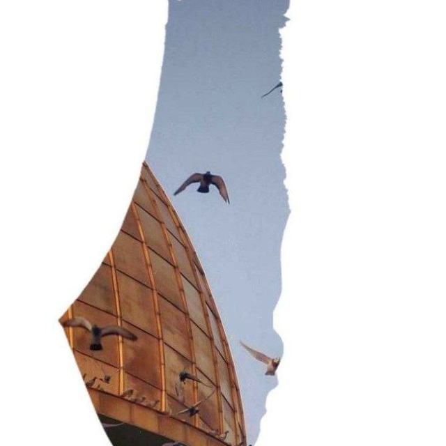 Channel Photo
