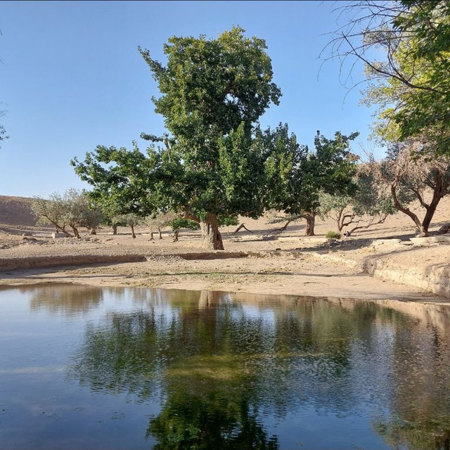 Channel Photo