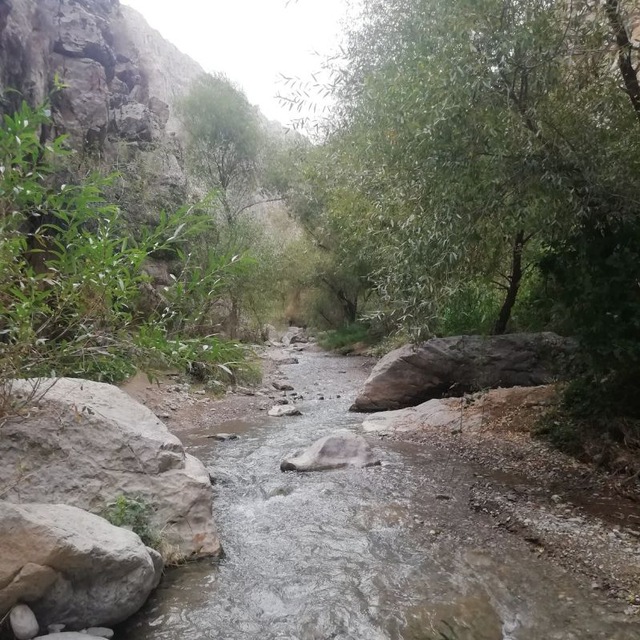 Channel Photo