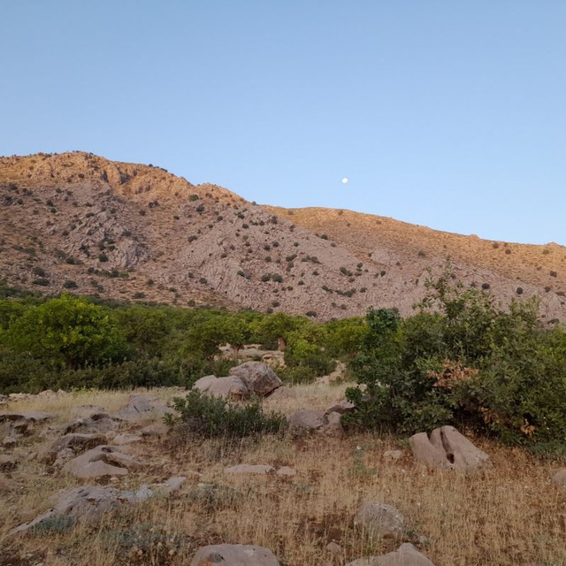 Channel Photo