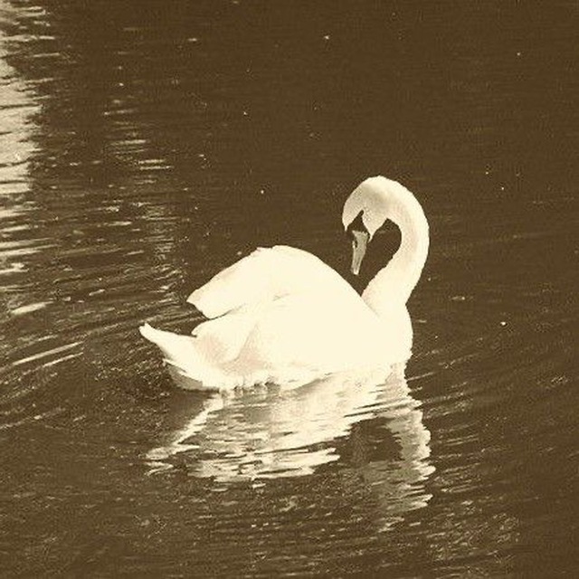 Channel Photo