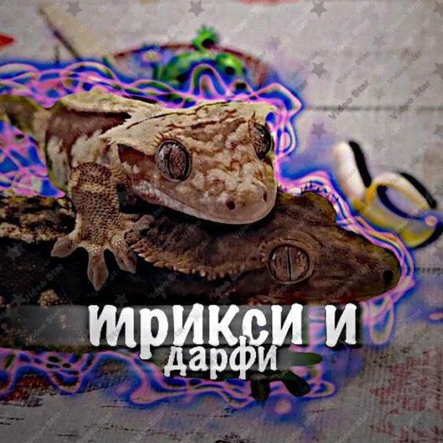 Channel Photo