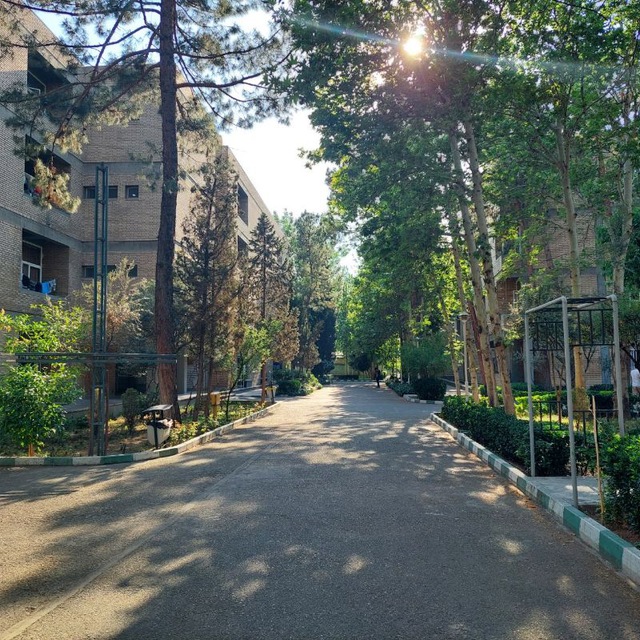 Channel Photo