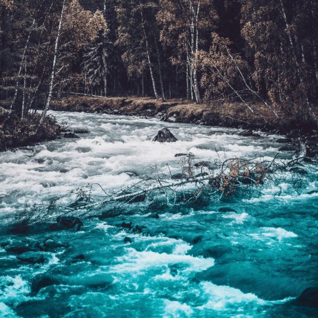 Channel Photo