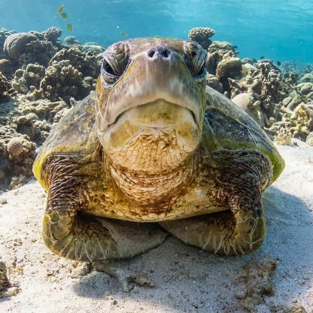 Channel Photo