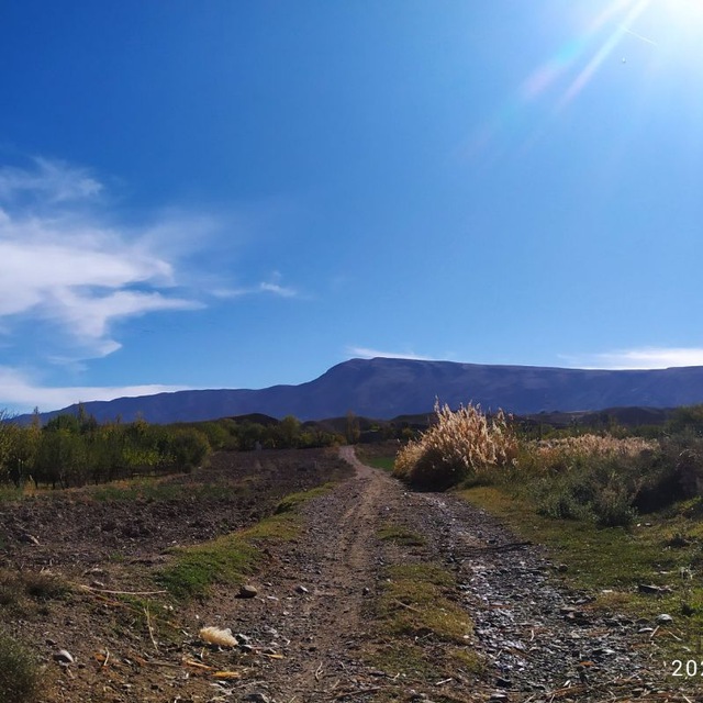 Channel Photo