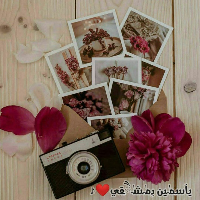Channel Photo