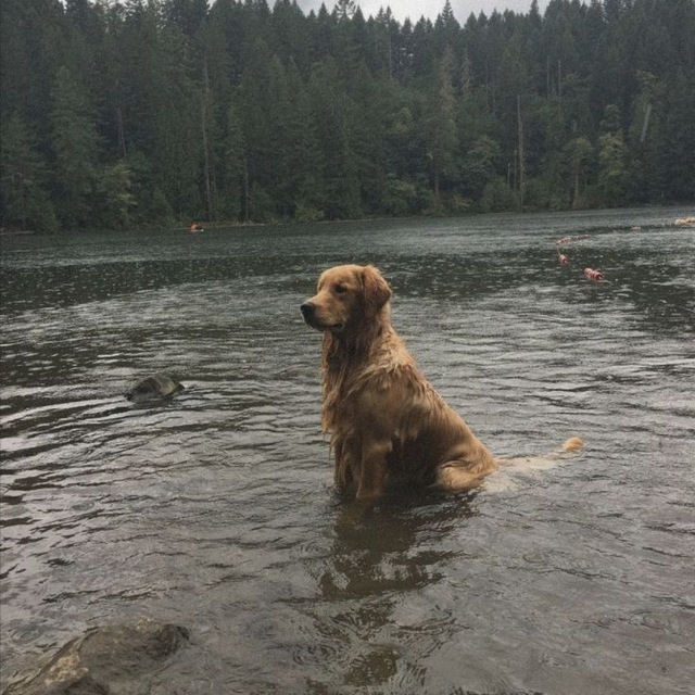 Channel Photo