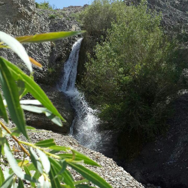 Channel Photo