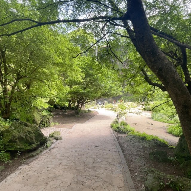 Channel Photo