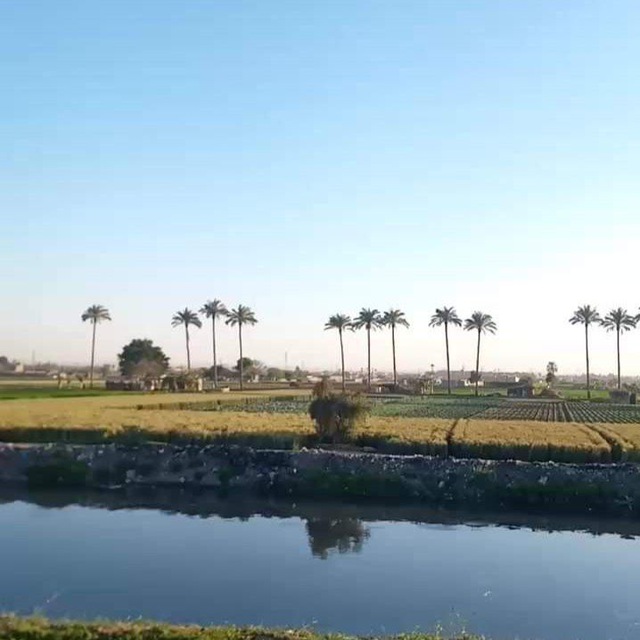 Channel Photo