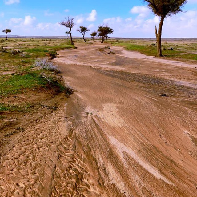 Channel Photo