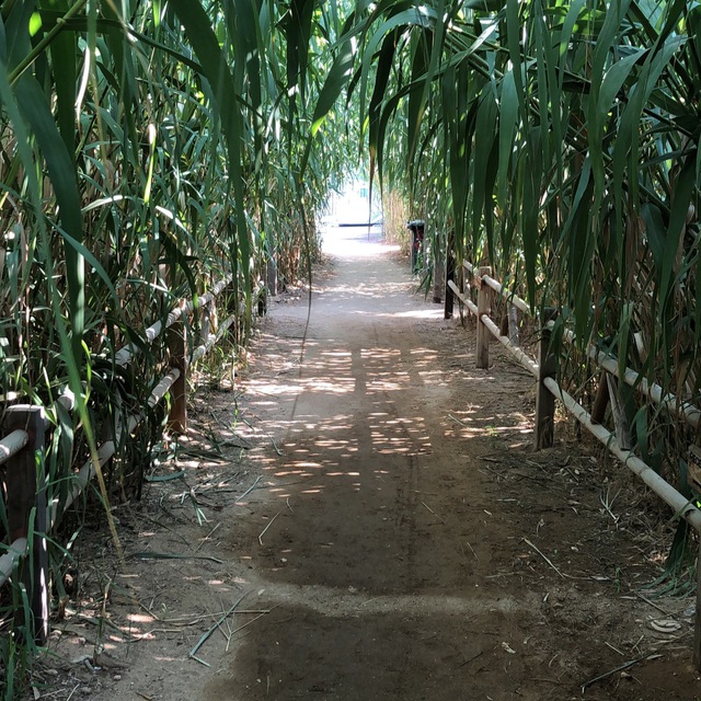 Channel Photo