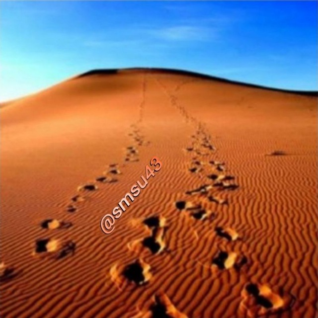 Channel Photo