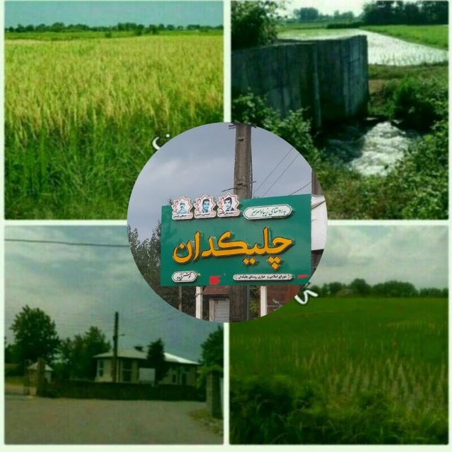 Channel Photo