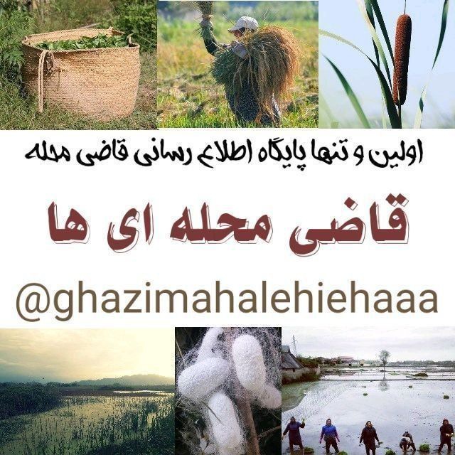 Channel Photo