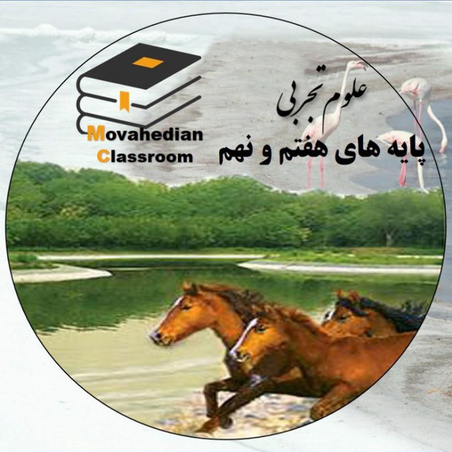 Channel Photo