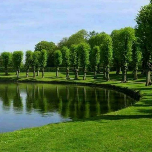 Channel Photo
