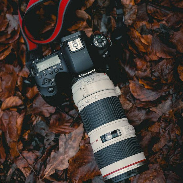 Channel Photo