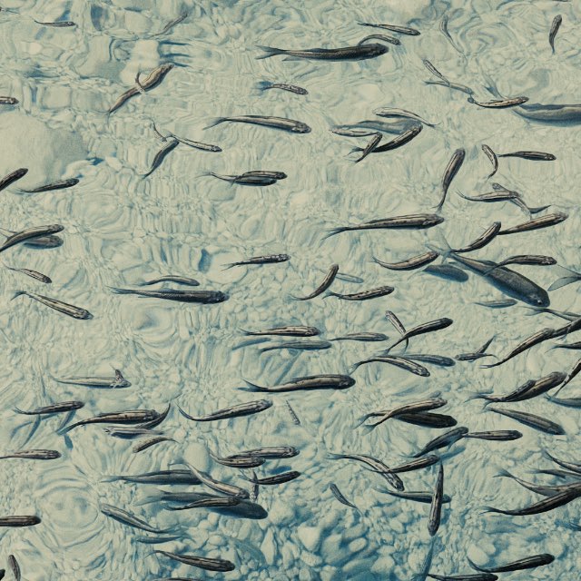 Channel Photo