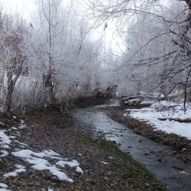 Channel Photo