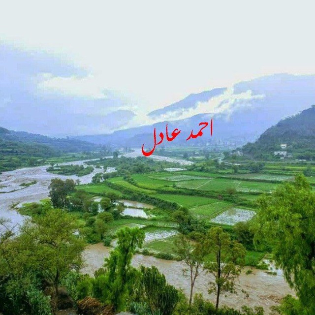 Channel Photo