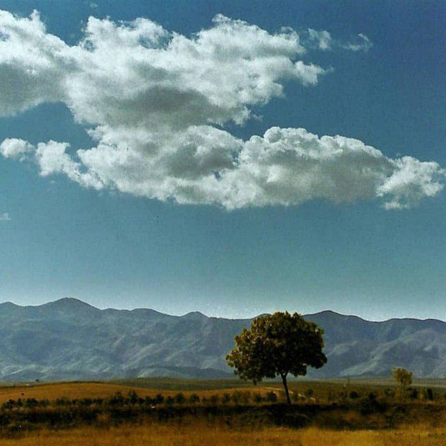Channel Photo