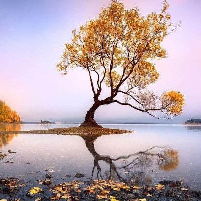 Channel Photo