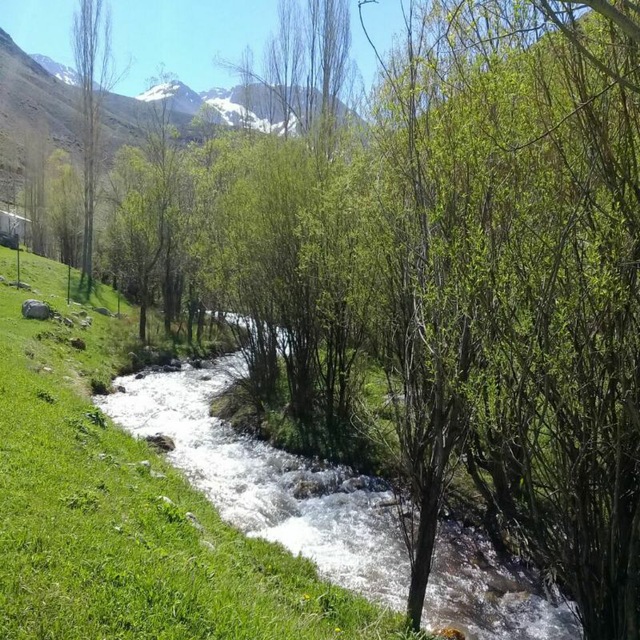 Channel Photo