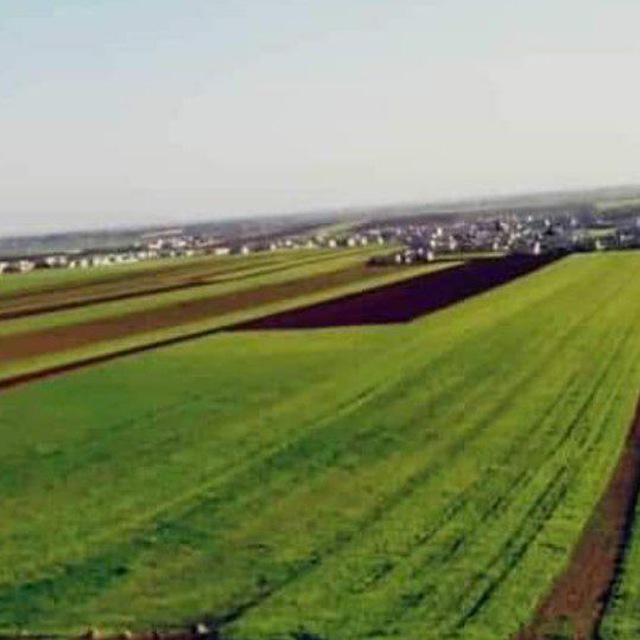 Channel Photo