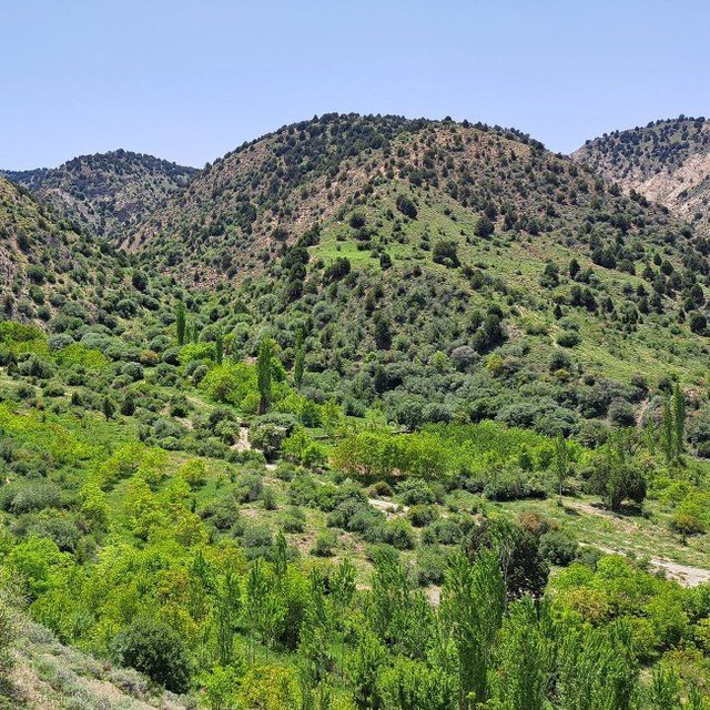 Channel Photo
