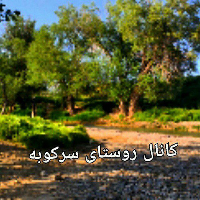 Channel Photo