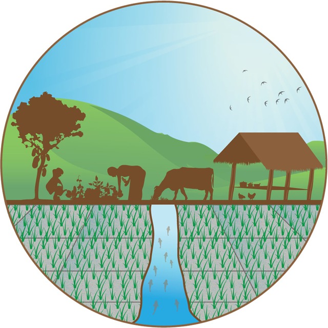 Channel Photo