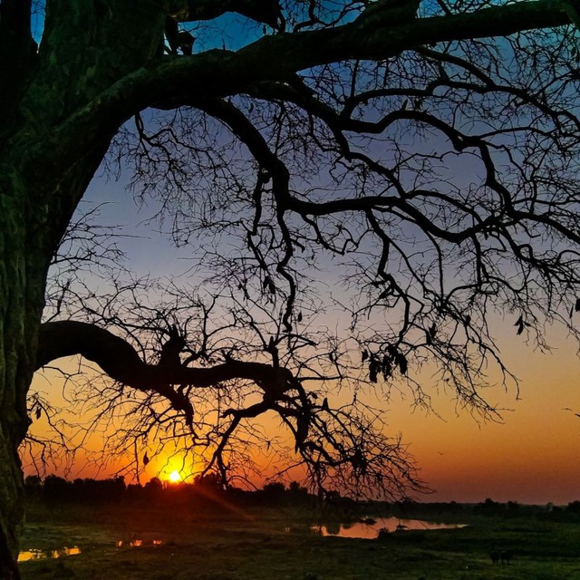 Channel Photo