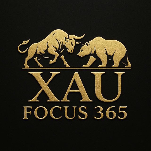 XAU Focus 365