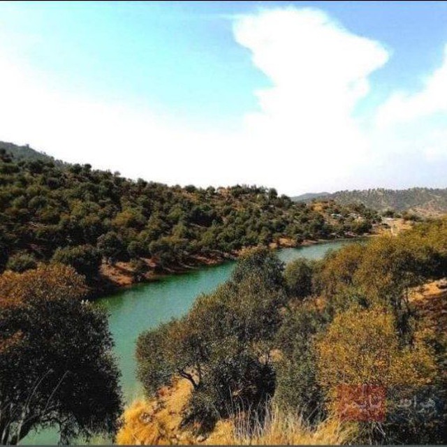 Channel Photo