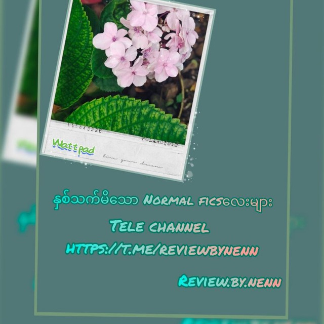 Channel Photo