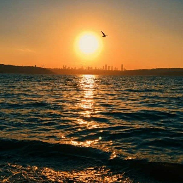 Channel Photo