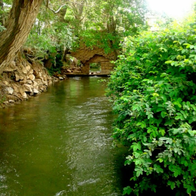 Channel Photo